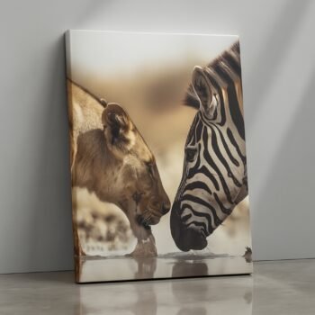 Wild Encounter lion and zebra wildlife canvas print by Artfy Canvas – nature canvas painting, wall paintings, artwork for wall décor