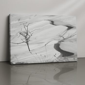 Winter Veil snowy seasonal forest canvas print by Artfy Canvas – calm winter wall décor
